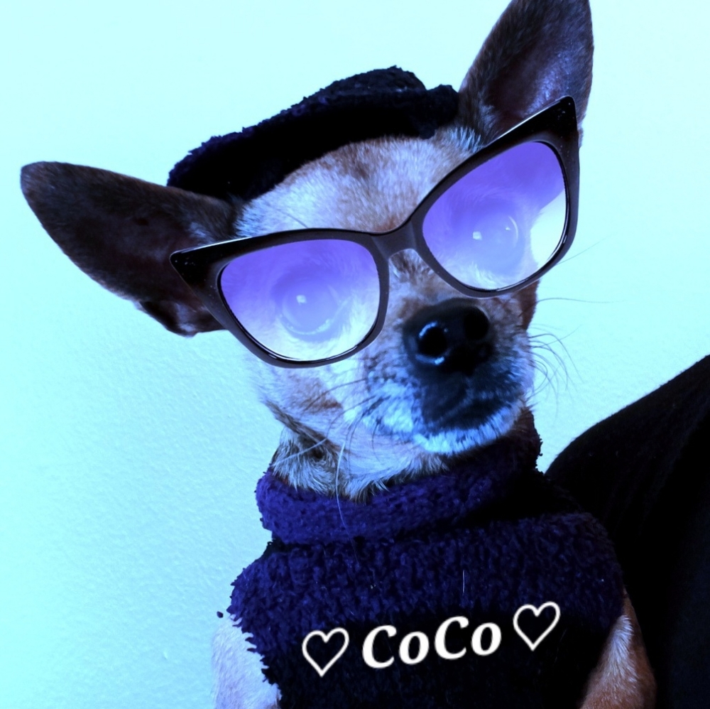 Meet your Posher, Melissa